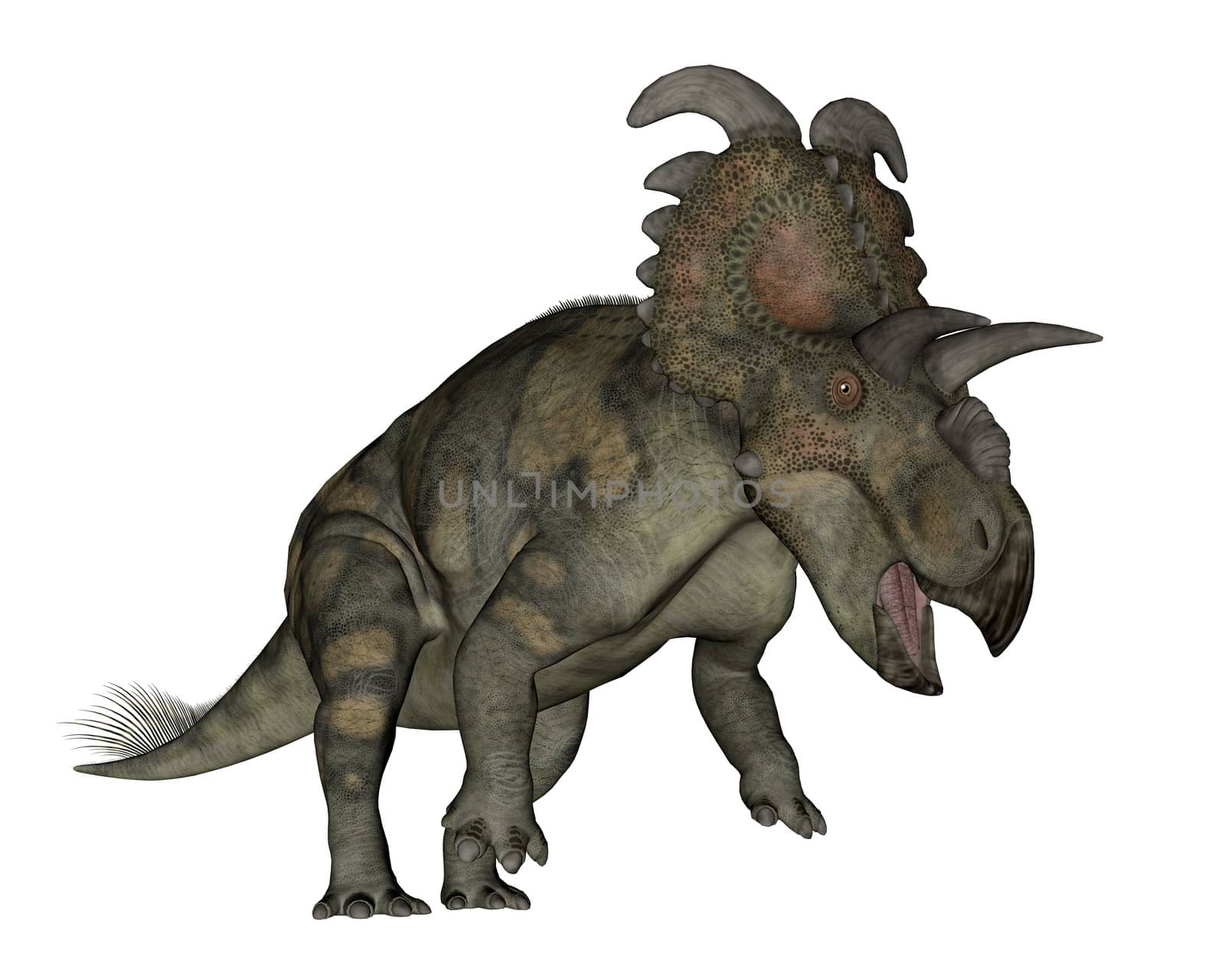 Albertaceratops dinosaur - 3D render by Elenaphotos21