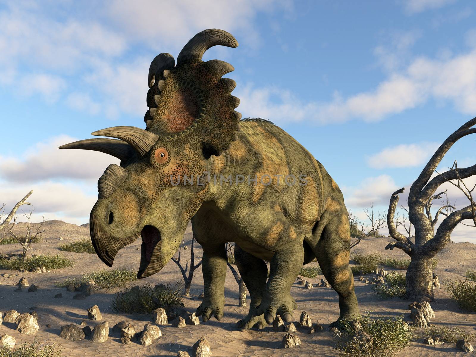 Albertaceratops dinosaur in the desert by day - 3D render