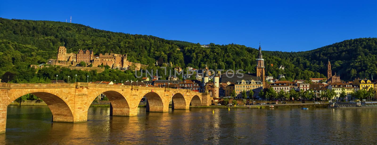 Karl Theodor or old bridge and castle, Heidelberg, Germany by Elenaphotos21