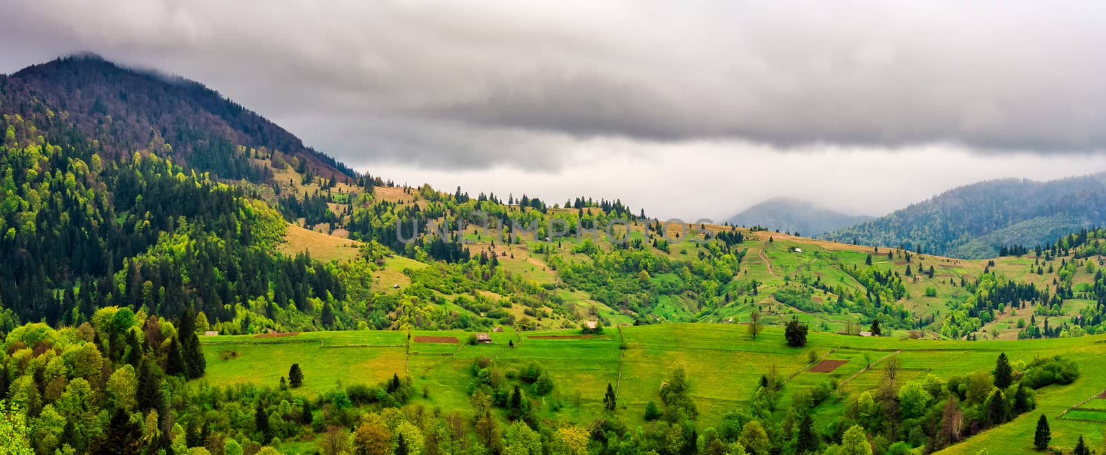 rural area in mountains on overcast day. woodsheds, fences and grassy fields on hills. beautiful countryside landscape