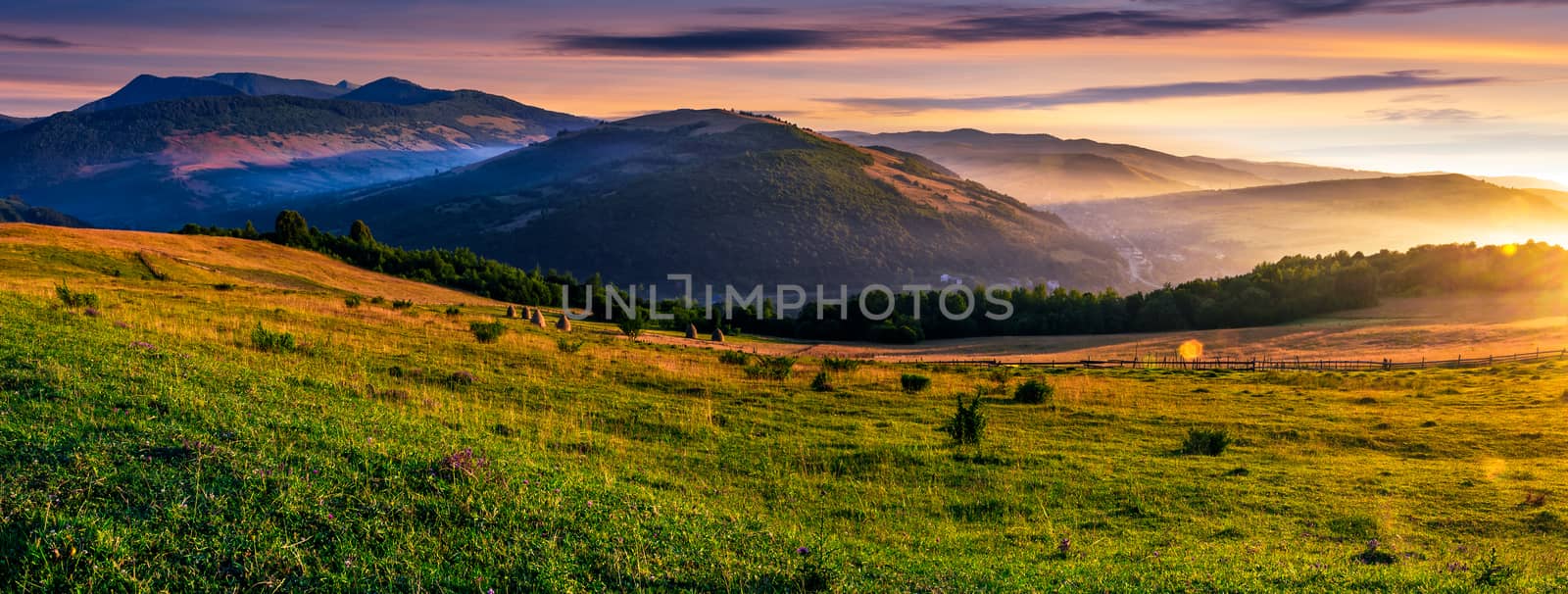 panorama of grassy rural fields in foggy mountains at sunrise. beautiful Carpathian countryside landscape