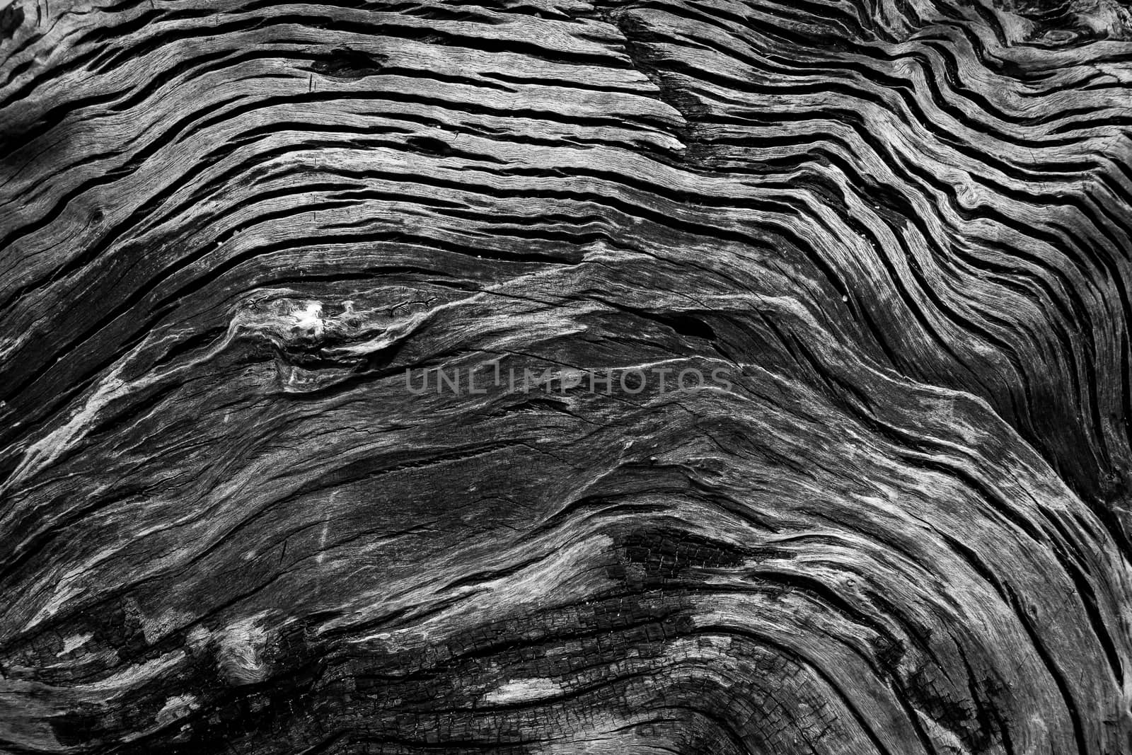 beautiful texture and pattern of wood