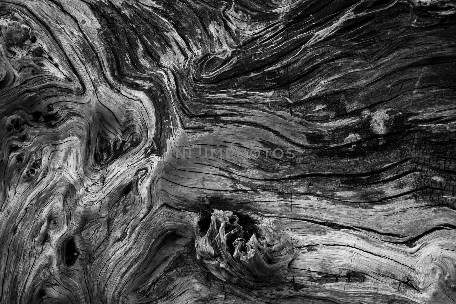 textures and patterns on wood by photoexplorer