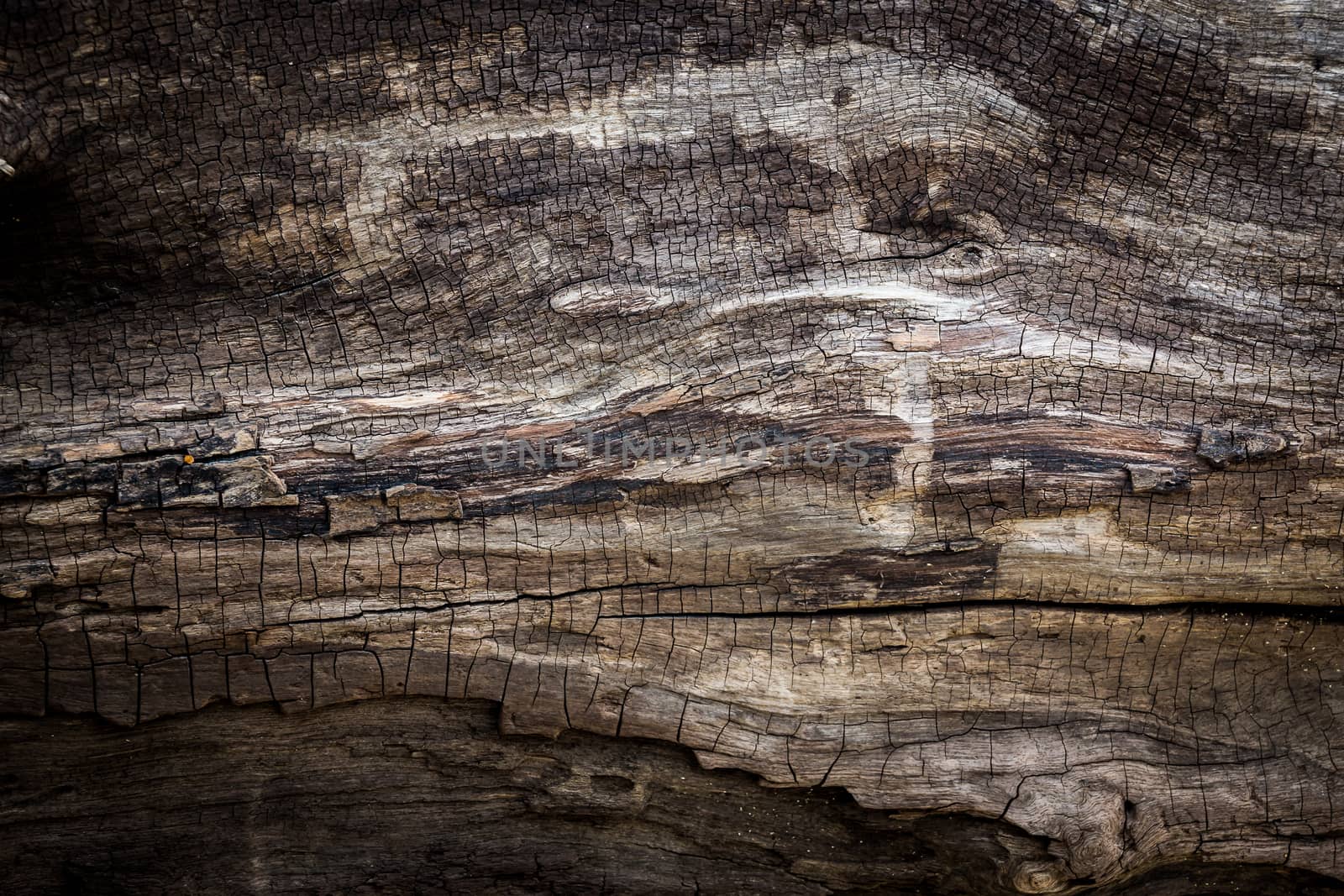 old wood textures by photoexplorer