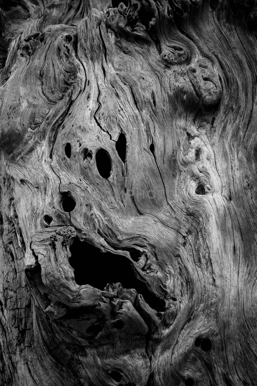 spooky of textures and patterns on the wood