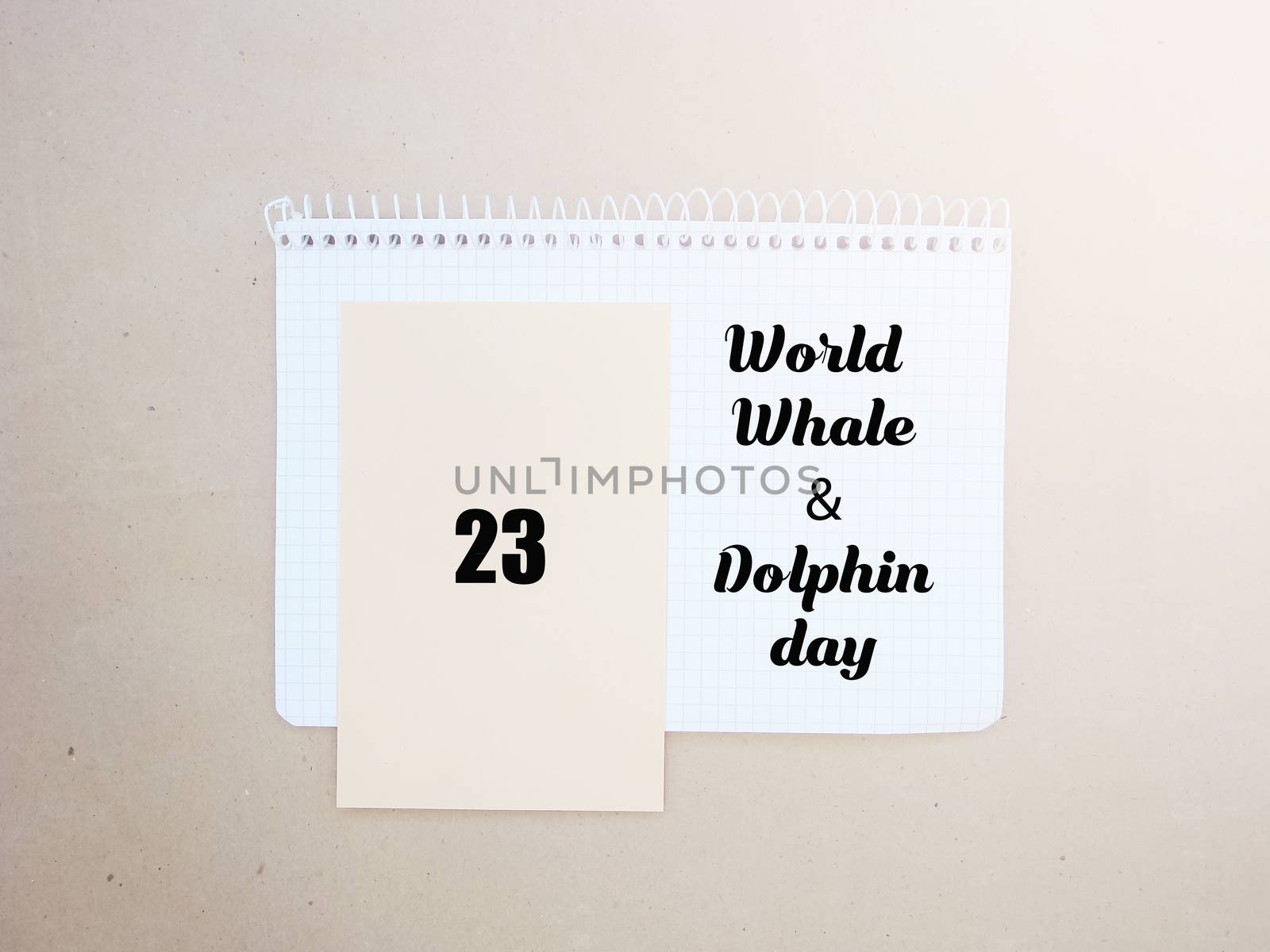 World Whale Dolphin day emblem.Calendar day July 23