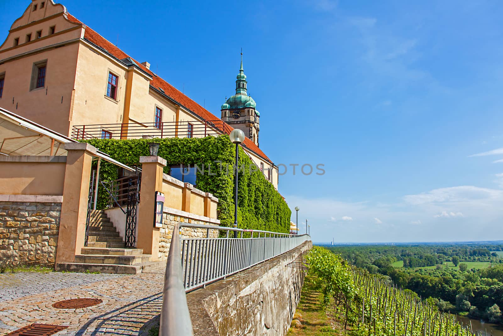Vineyard in front of the castle Mělník Bohemia Czech Republic