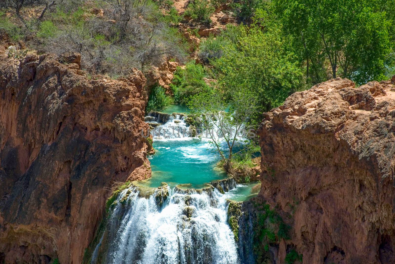View of the pool at the top of the world famous Havasu Falls.