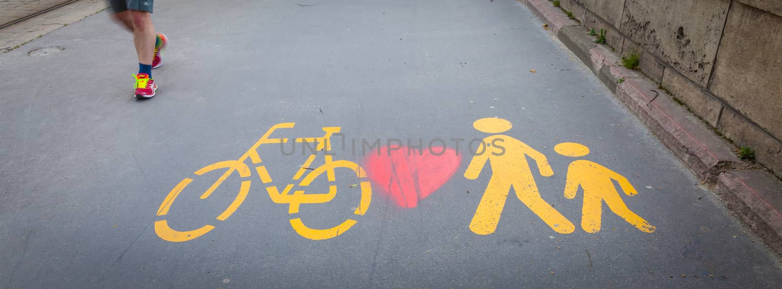 Bicycle signs painted on a dedicated street in  Bucarest, Hungary