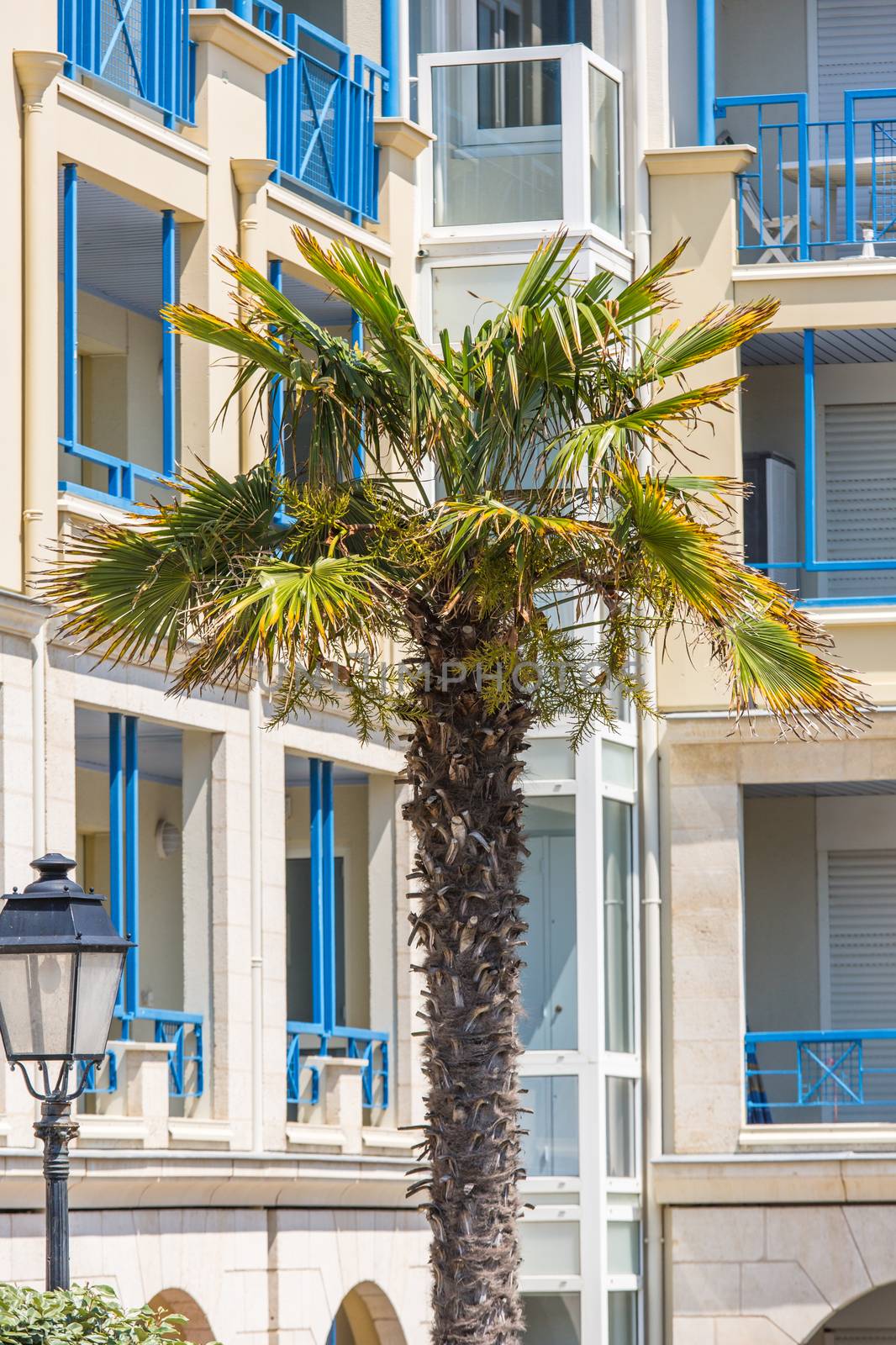 Modern apartment buildings exteriors in sunny day