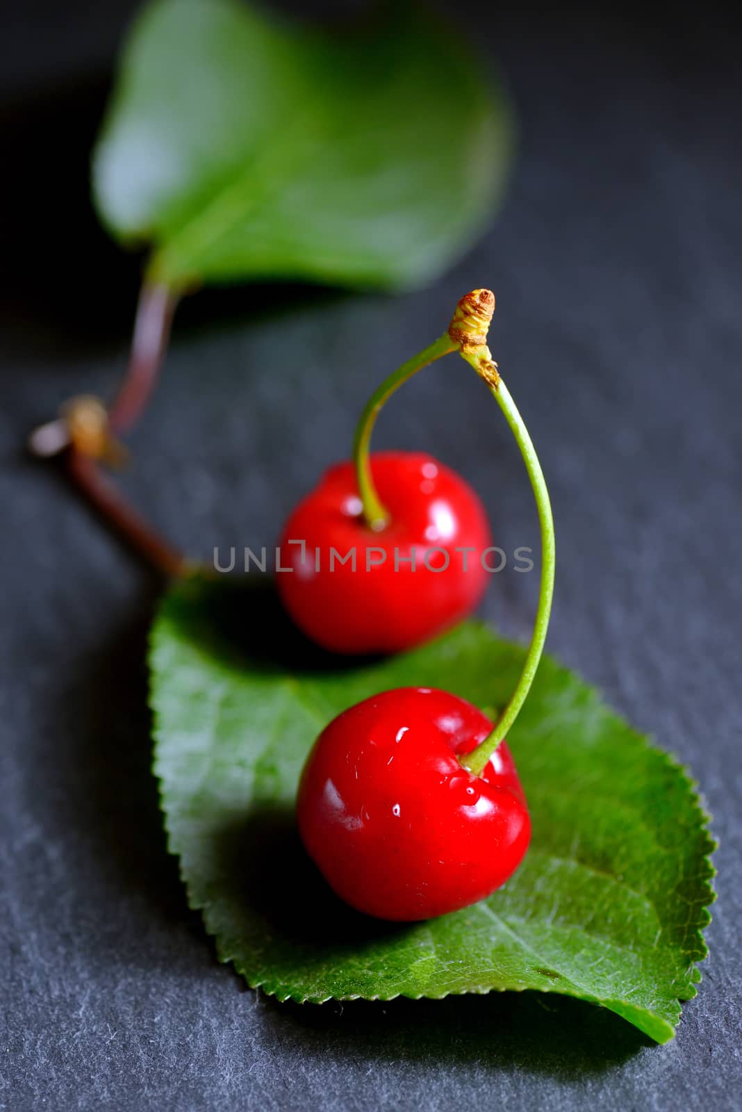 cherries with leaf on black ardesia  plate