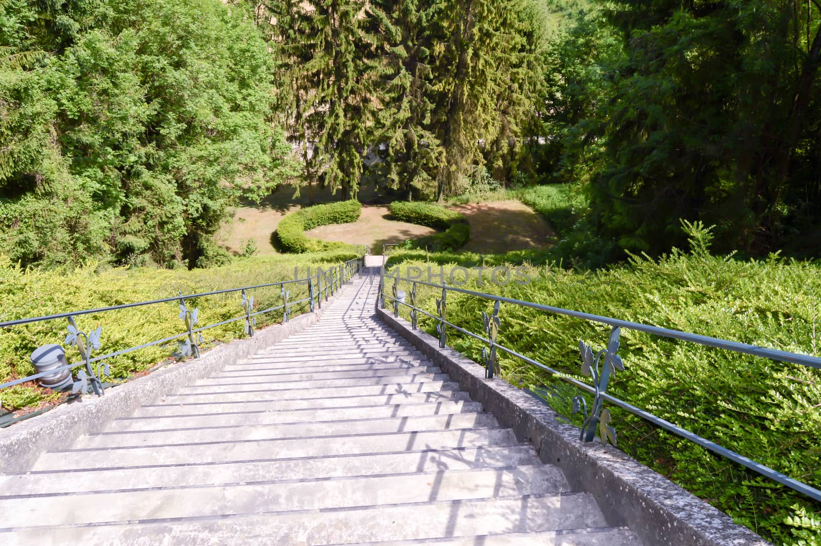 Long staircase in the woods in the department of the Meuse in France