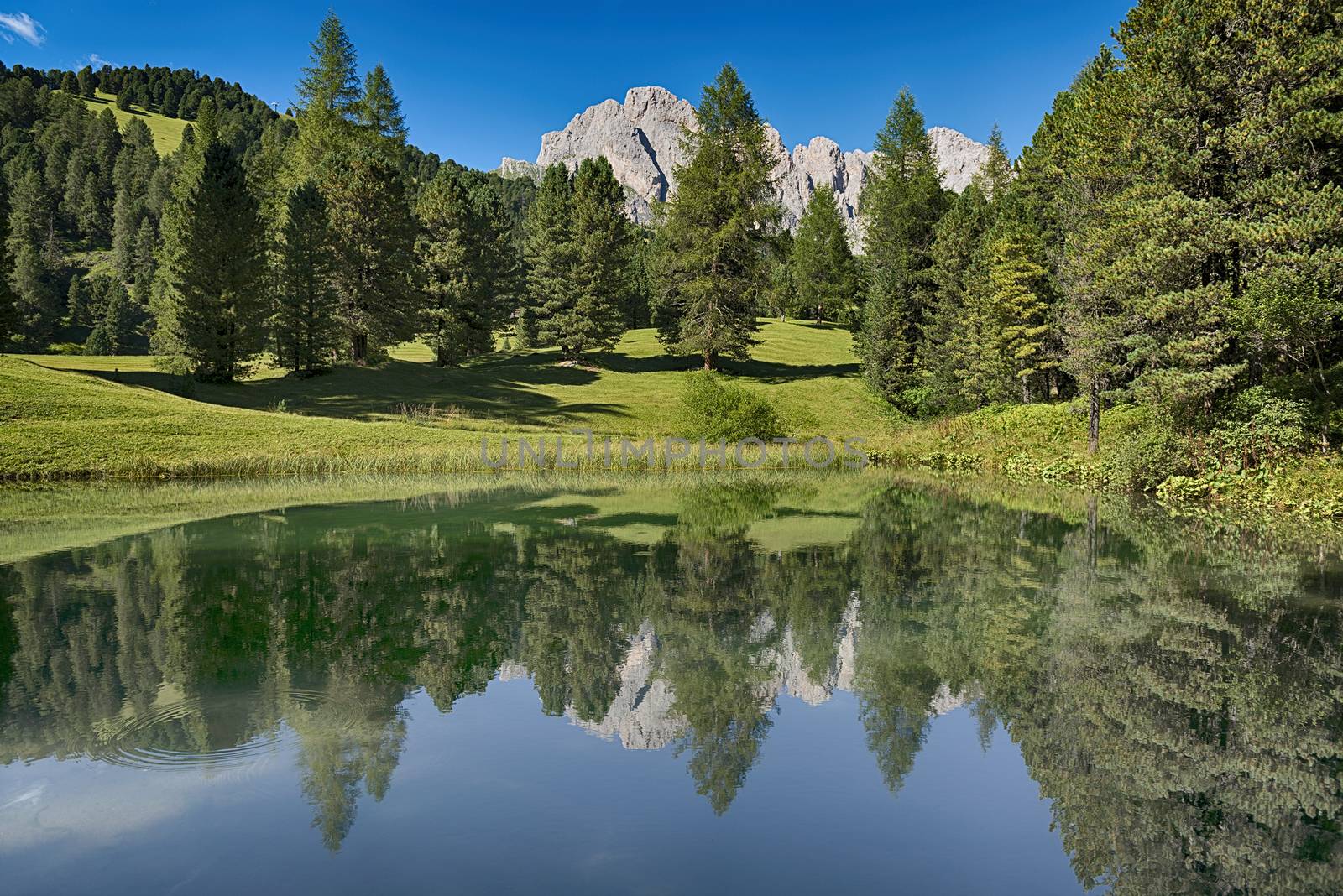 Lake in the forest with the mountains in background, summer season - Trentino-Alto Adige, Dolomites