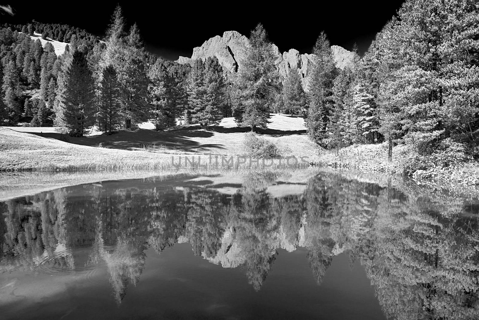 Lake in the forest with the mountains in background, Dolomites by Mdc1970