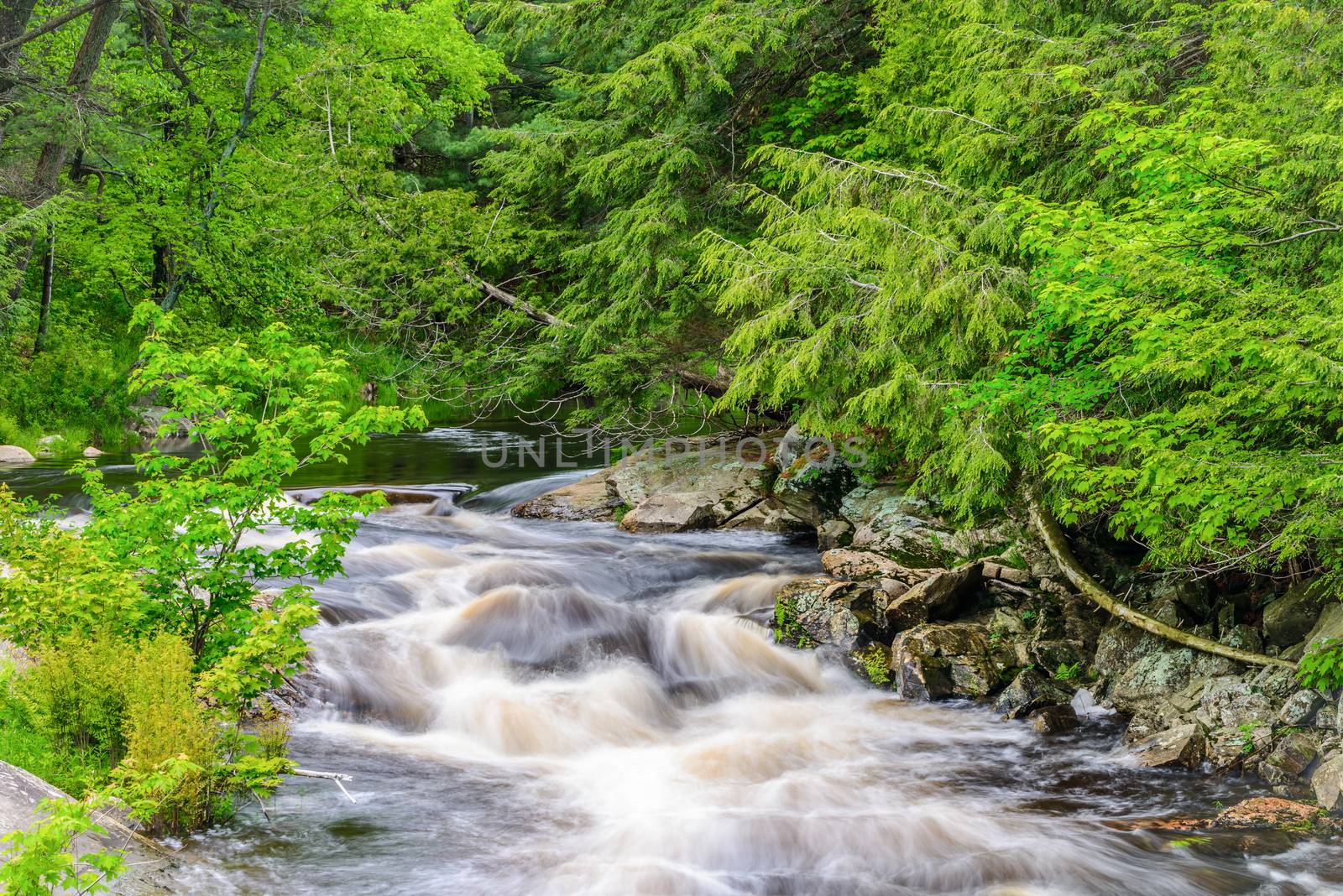 Rosseau River Scene by billberryphotography
