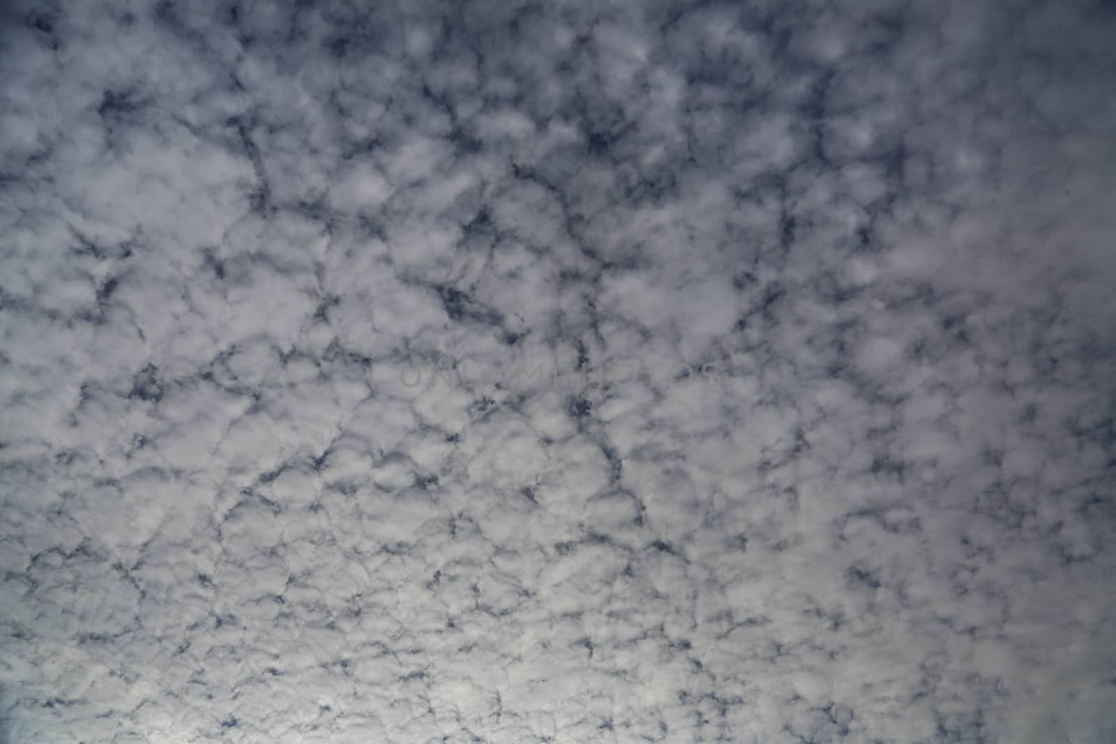 Gray and white clouds in the sky