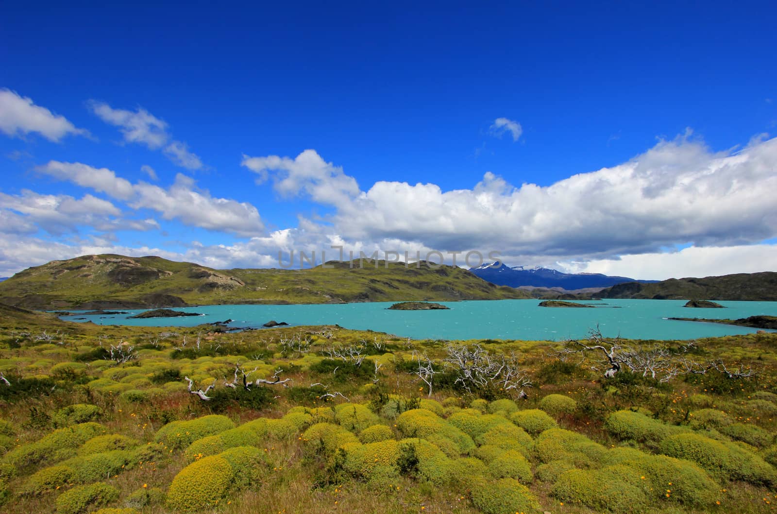 Nordenskjold lake, Torres Del Paine National Park, Patagonia, Chile Southamerica