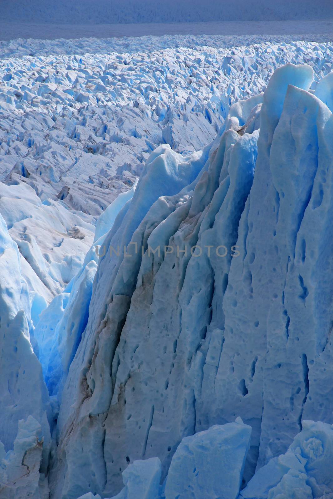 Perito Moreno glacier, Parque Nacional Los Glaciares, Patagonia, Argentina