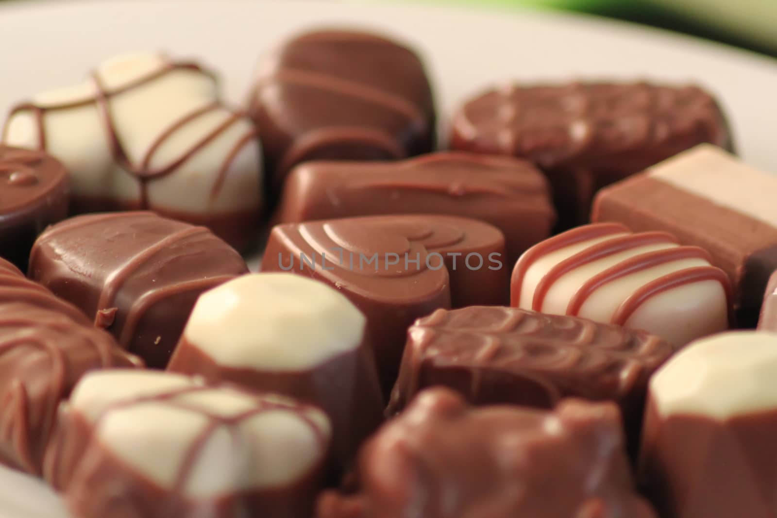 Delicious chocolate pralines