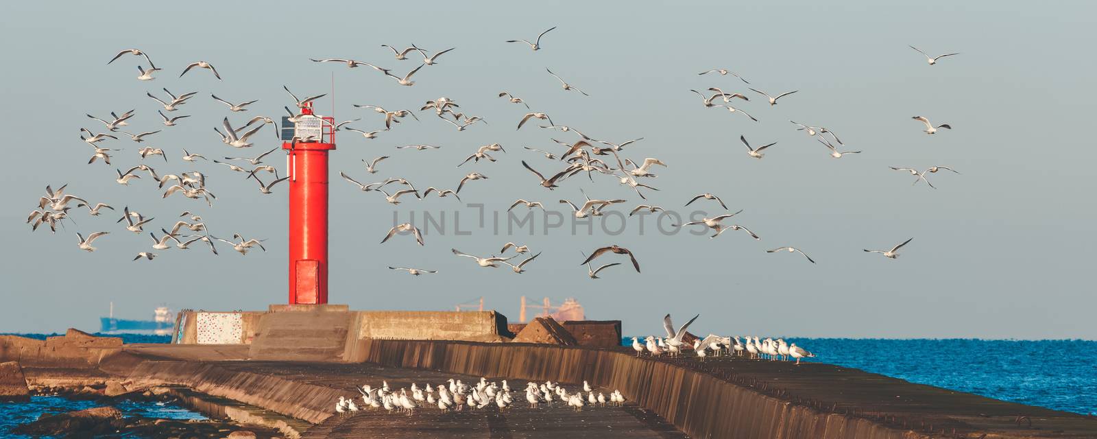 White seagulls flying against the red lighthouse