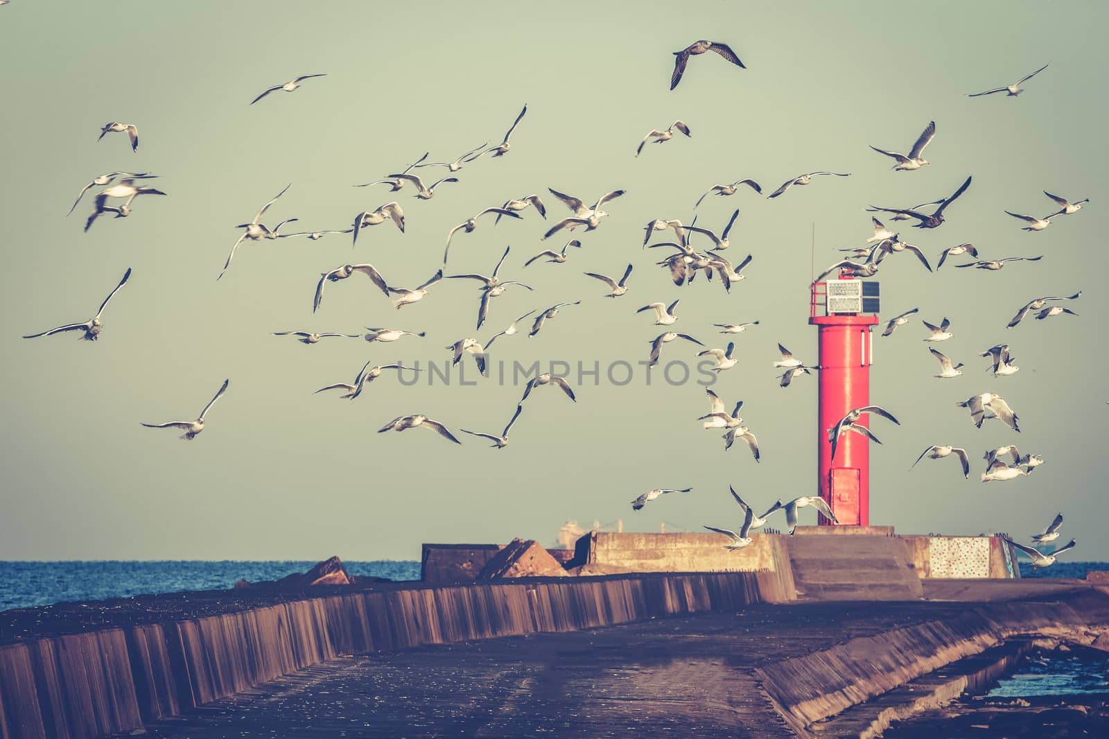 White seagulls flying against the red lighthouse