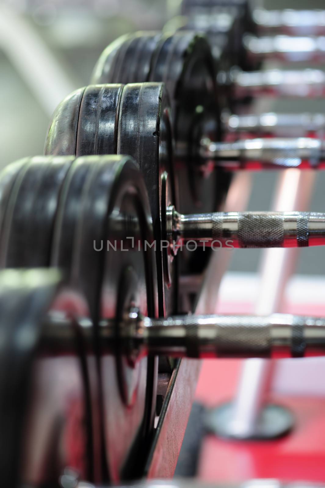 Spinlock dumbbells in special rack at gym, selective focus at one of plates