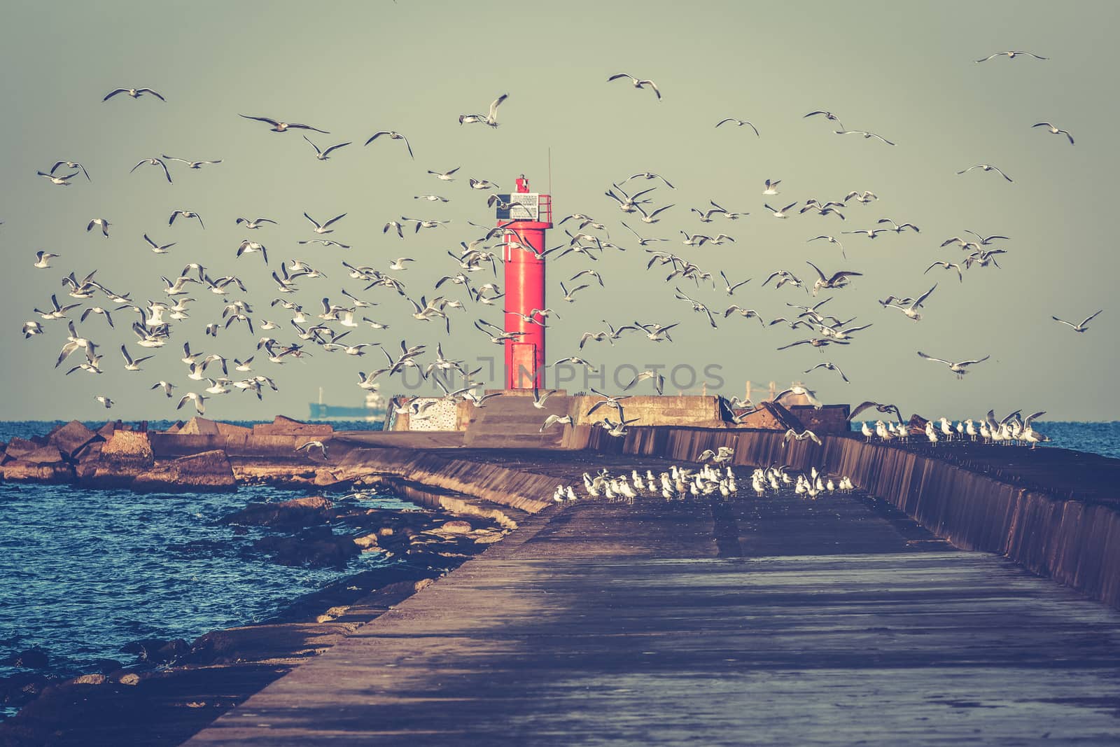 White seagulls flying against the red lighthouse