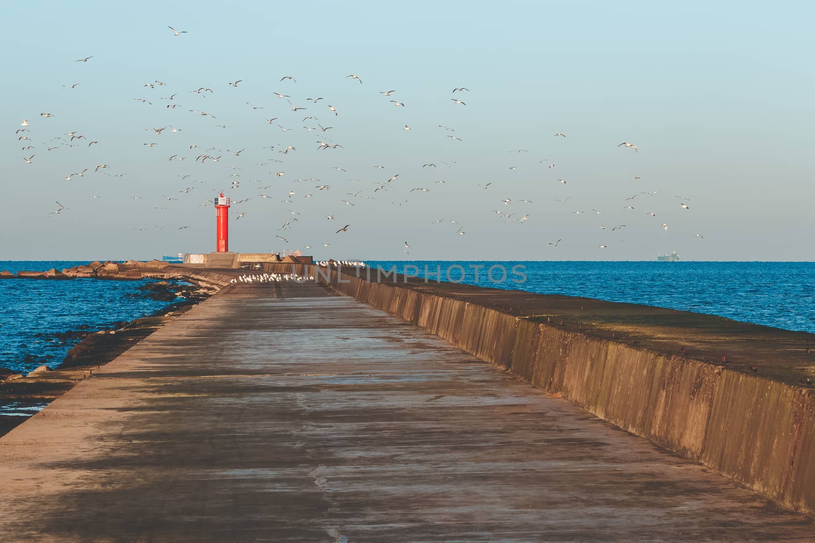 White seagulls flying against the red lighthouse