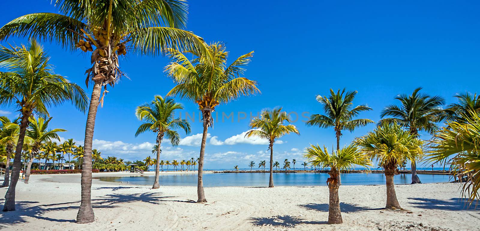The Round Beach at Matheson Hammock County Park Miami Florida by Makeral