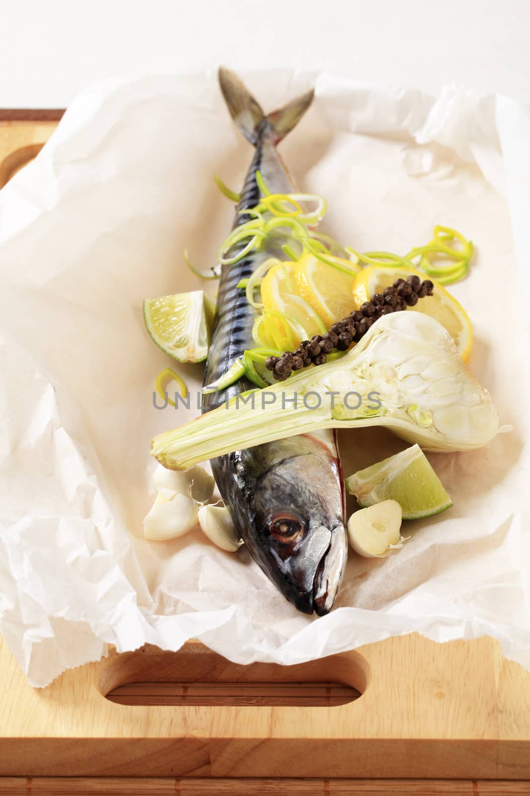 Fresh mackerel on paper by Digifoodstock