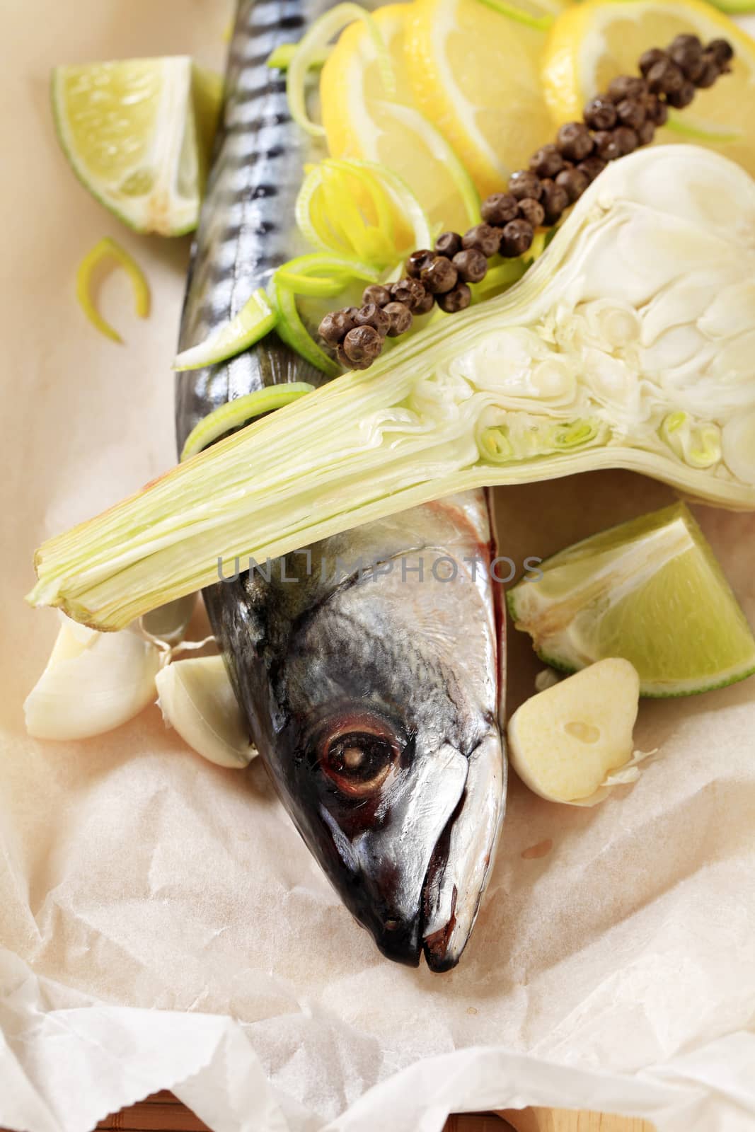 Fresh mackerel on paper by Digifoodstock