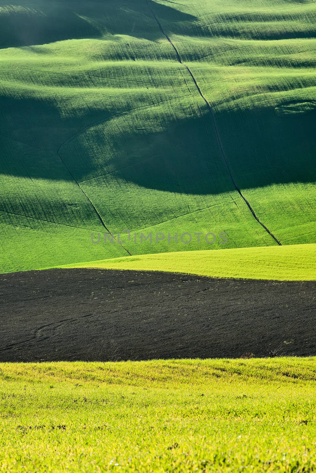 Rural grass field landscape by LuigiMorbidelli