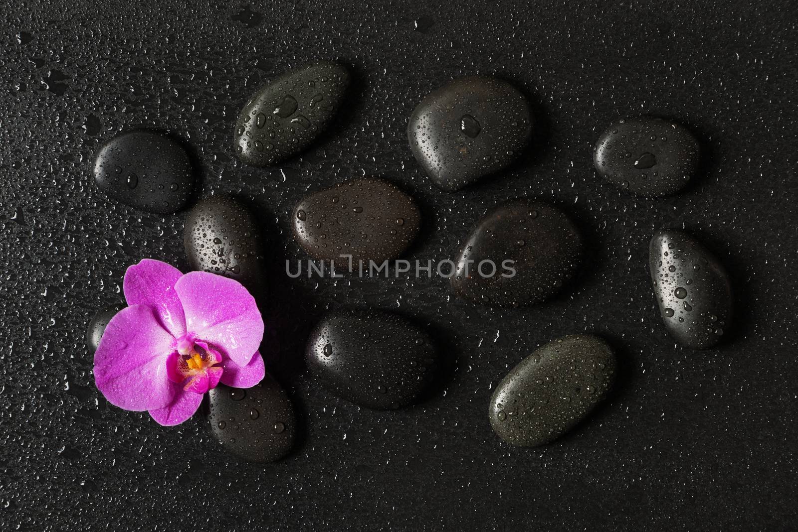 Spa concept with black basalt massage stones arranged  on a black background and purple orchid flower covered with water drops, top view, flat lay