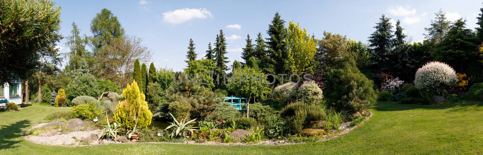 Colorful spring garden in evening sunlight. Spring gardening concept. Evergreen plant and tree.