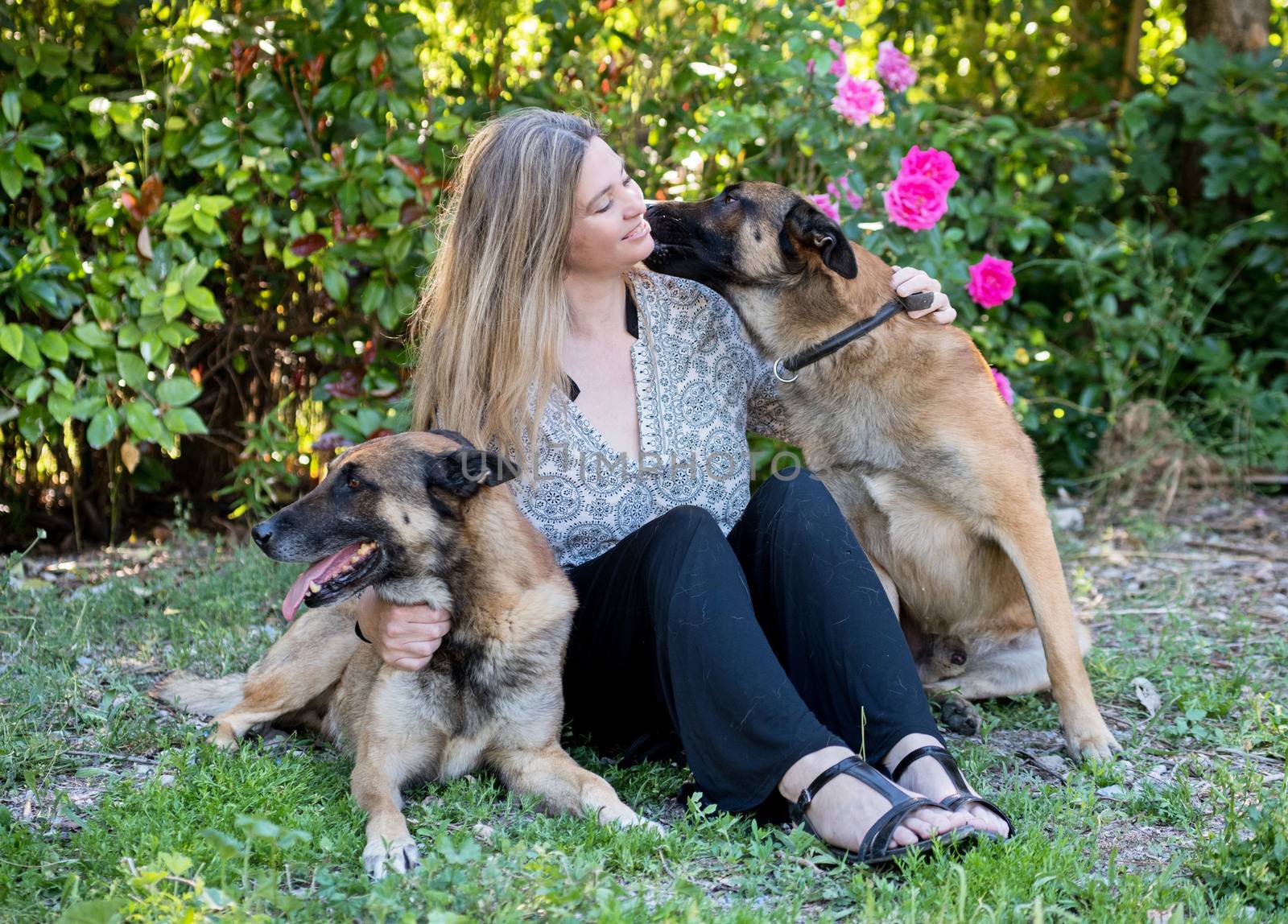 woman and belgian shepherd malinois in a garden