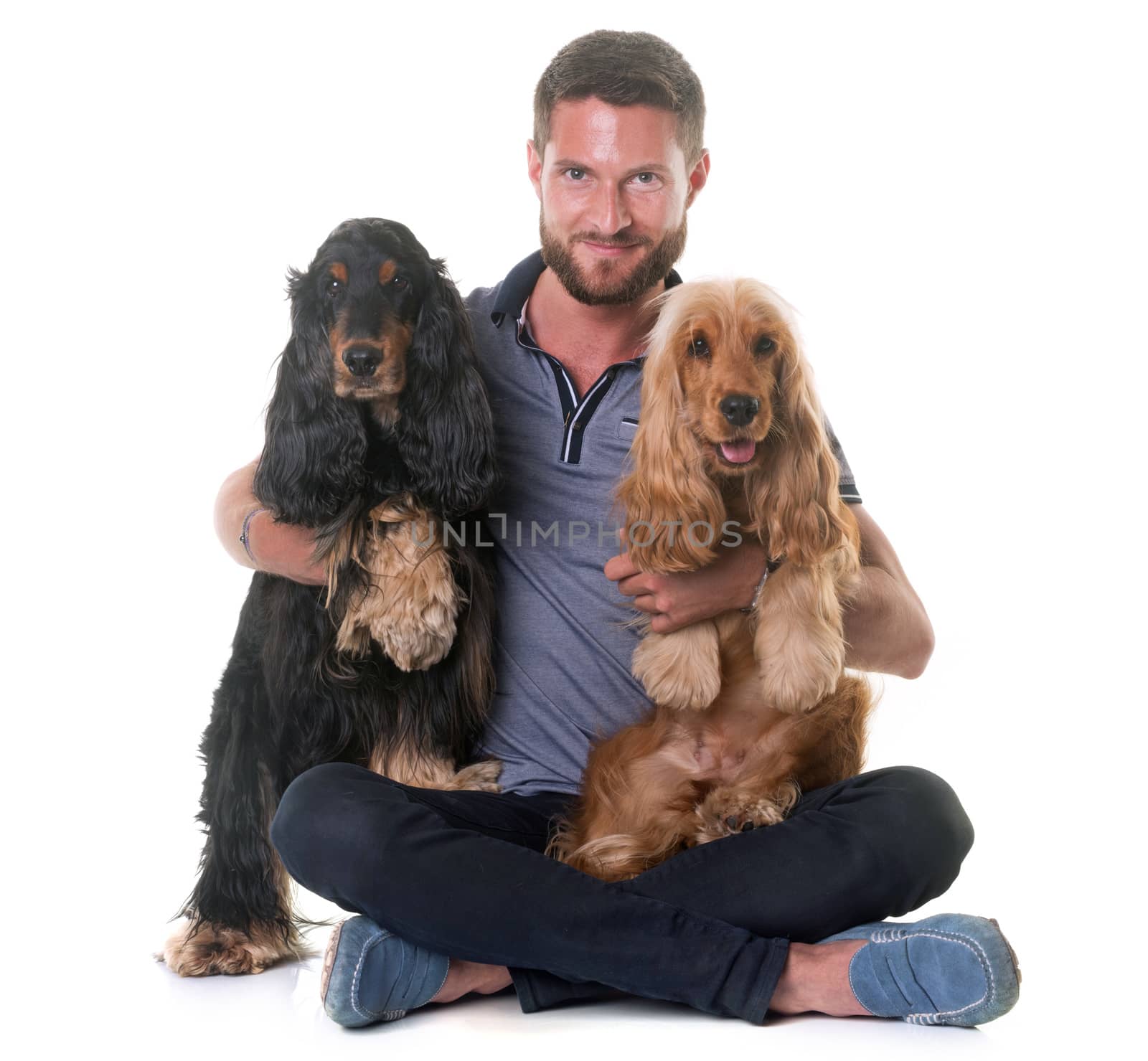 two cocker spaniel and man in front of white background