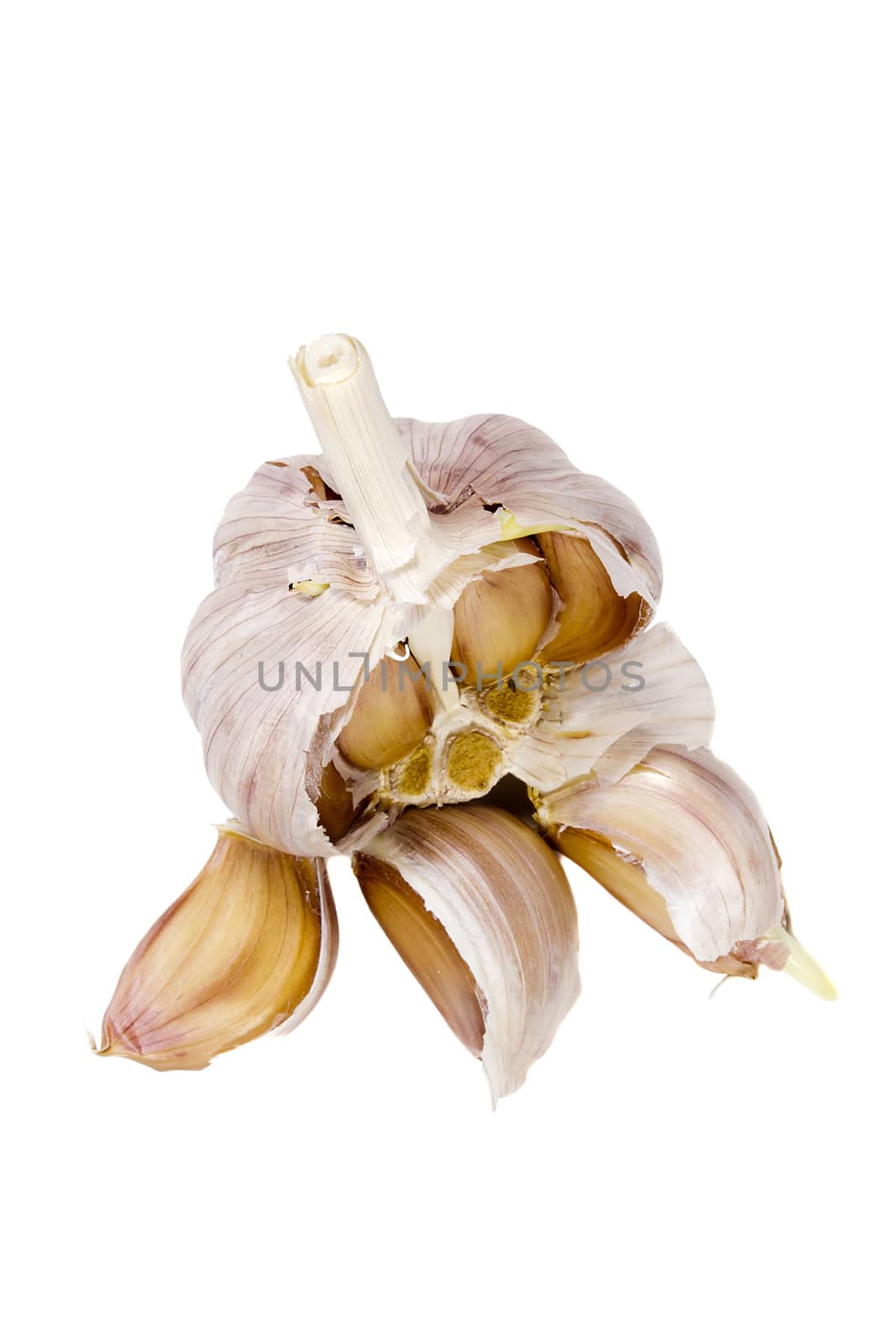 Ripe fresh garlic on white isolated background