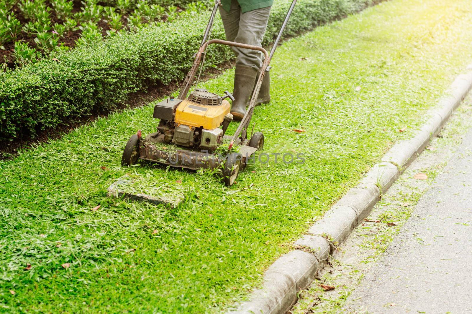 People are using lawn mowers in the garden.