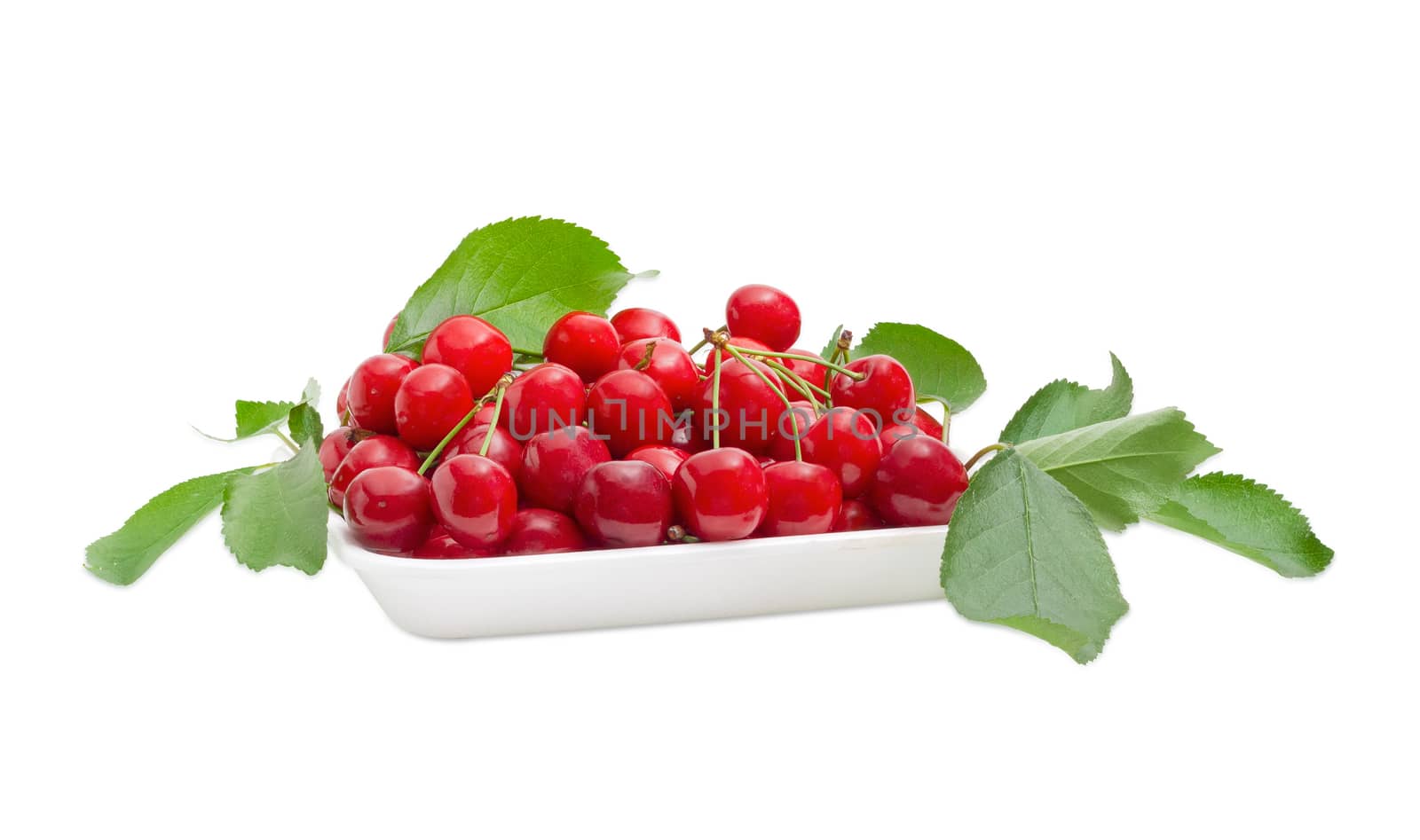 Ripe red sweet cherries in the white foam food container and several small cherry branches with leaves on a light background
