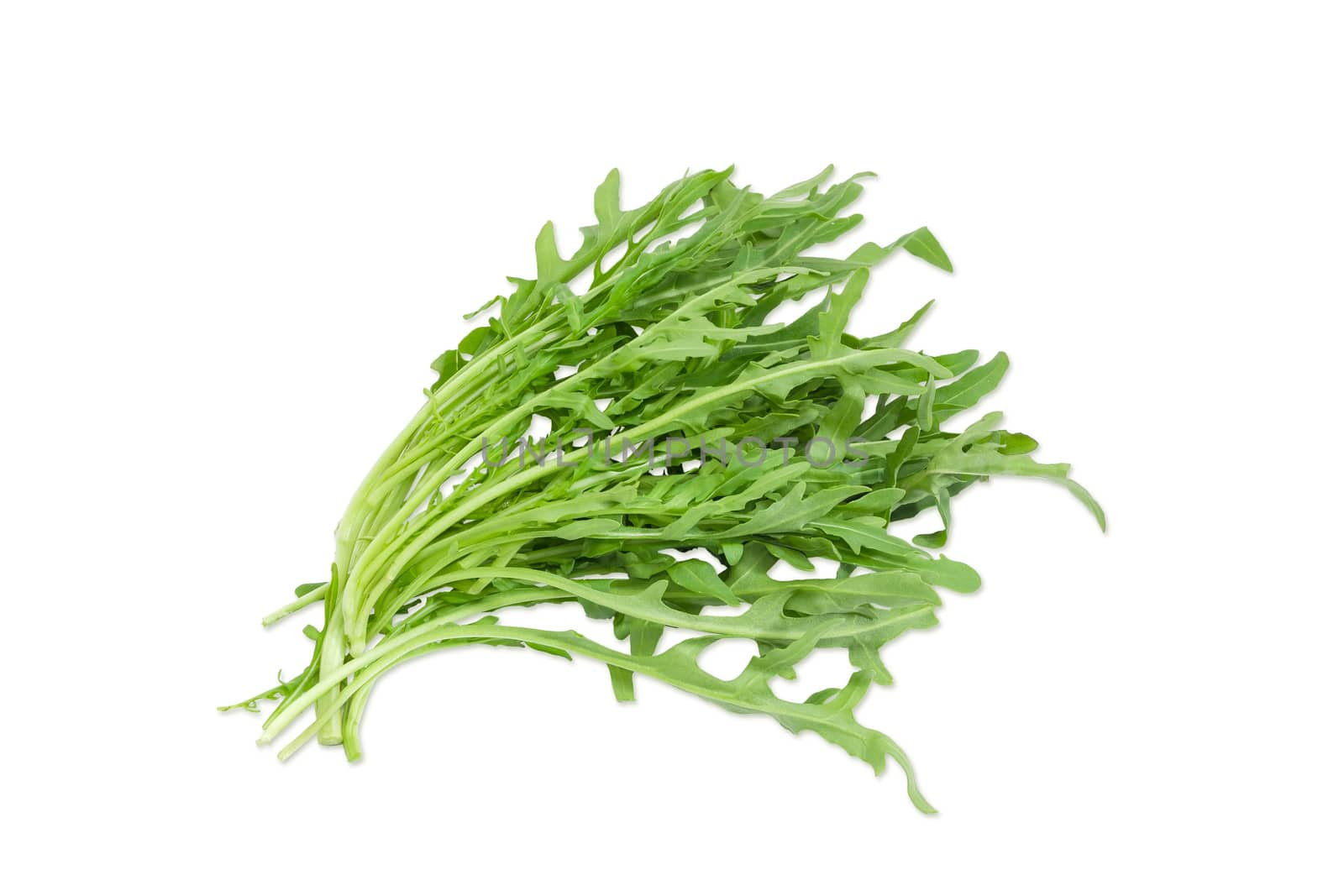 Bunch of the arugula on a light background by anmbph