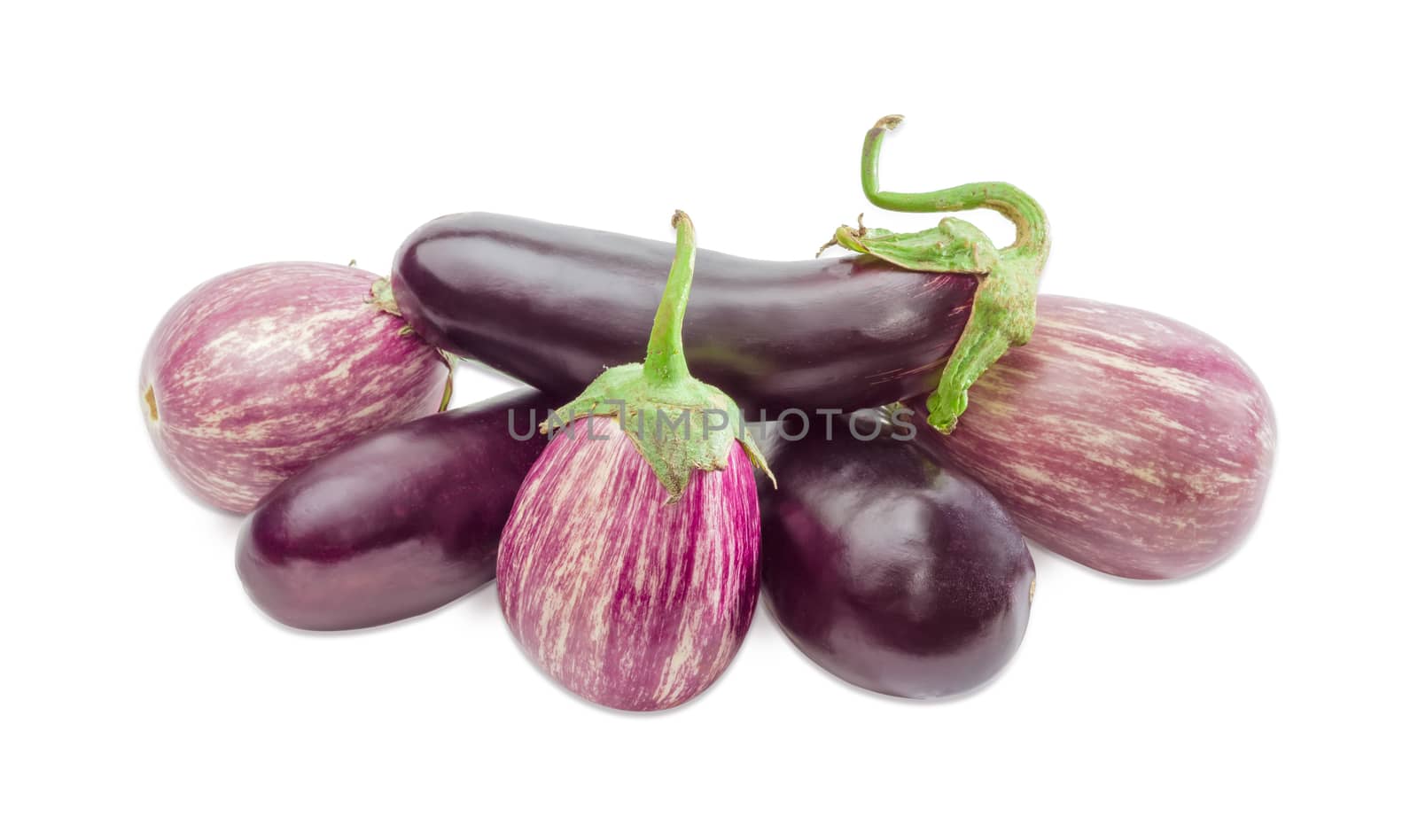 Pile of the conventional purple eggplants and Graffiti eggplants on a light background
