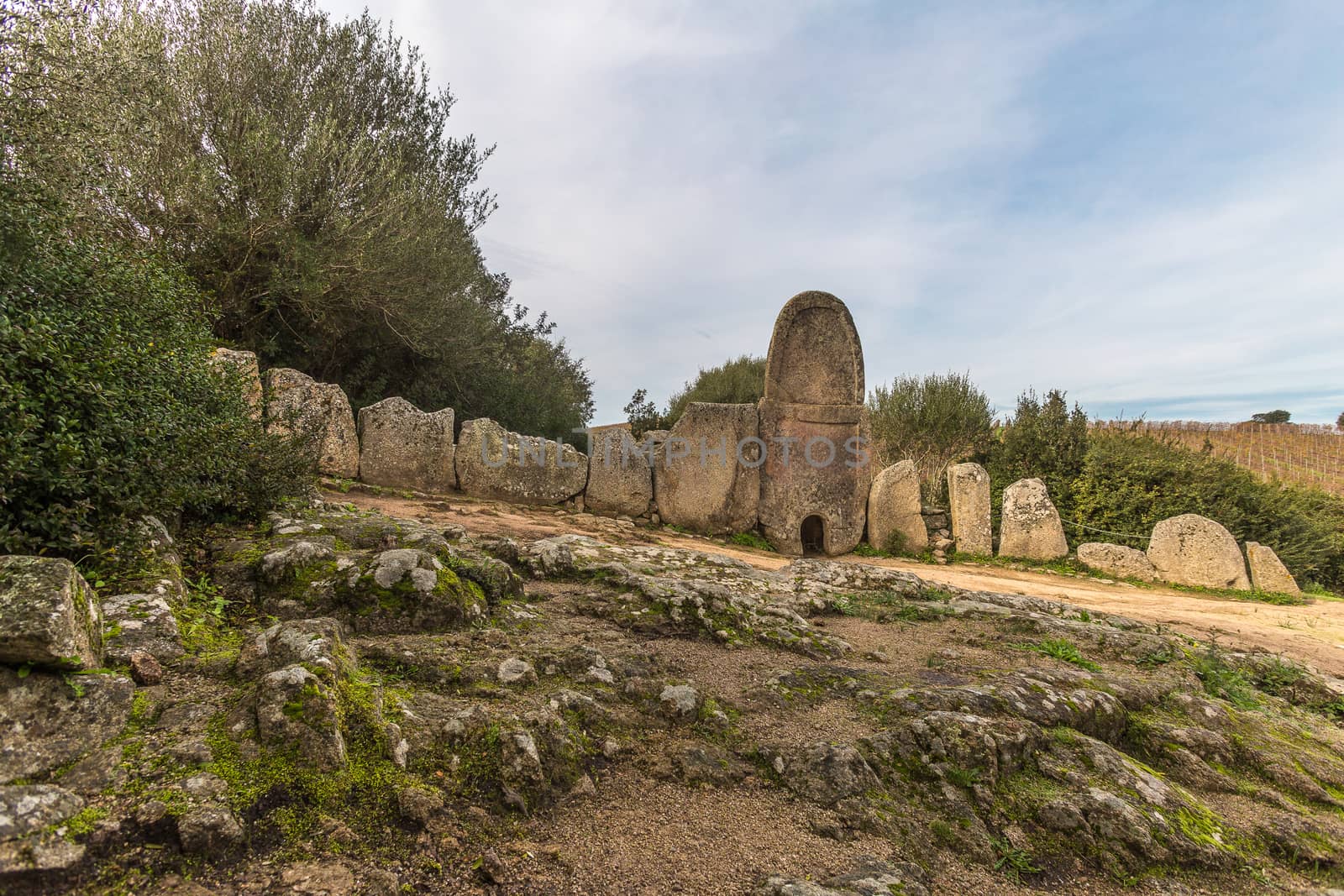 Giants grave of Coddu Vecchiu - Arzachena