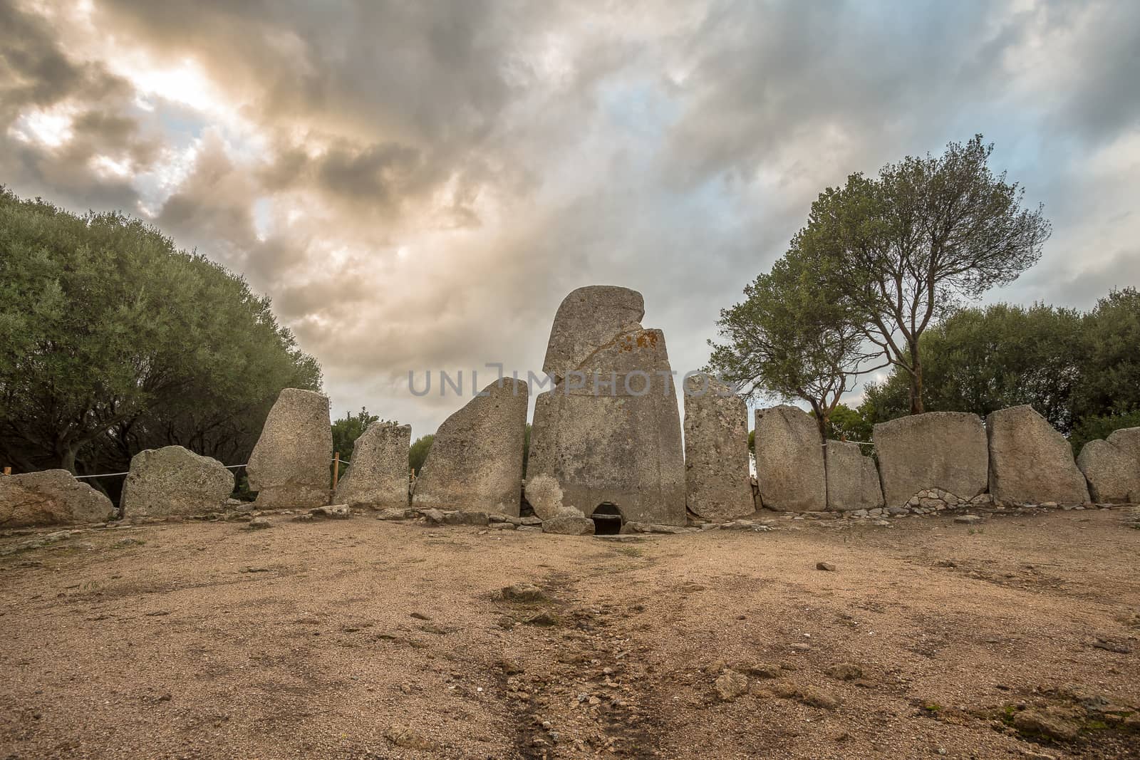 Giants grave of Li Lolghi - Arzachena