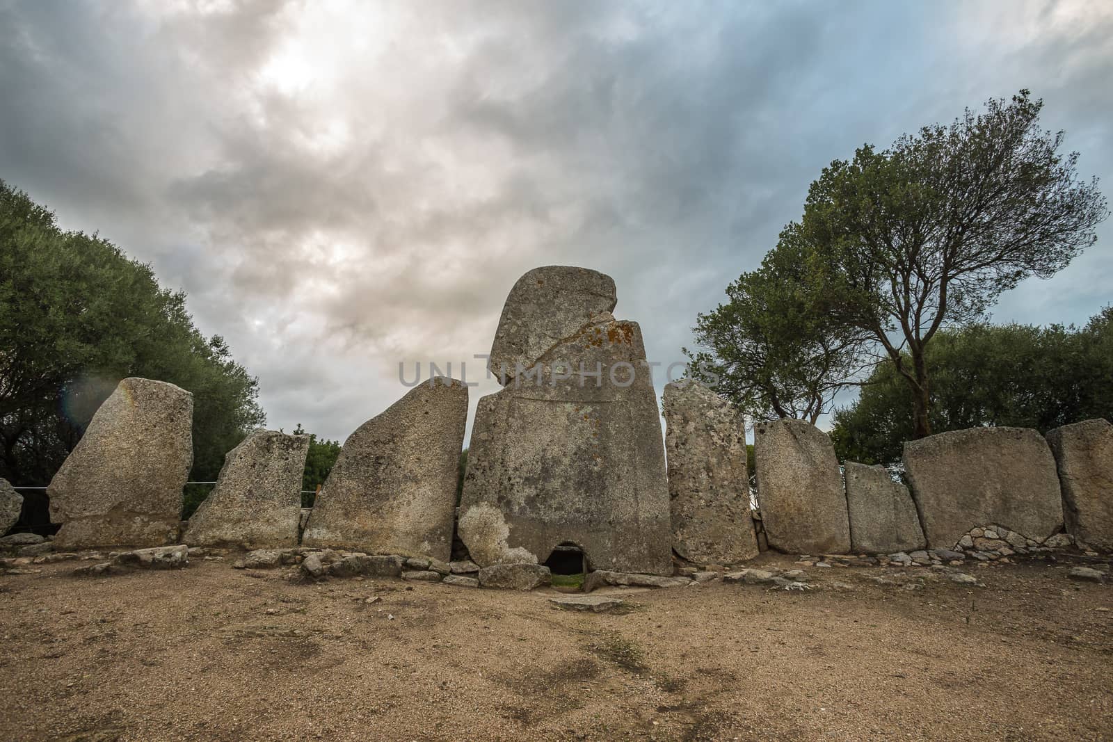 Giants grave of Li Lolghi - Arzachena