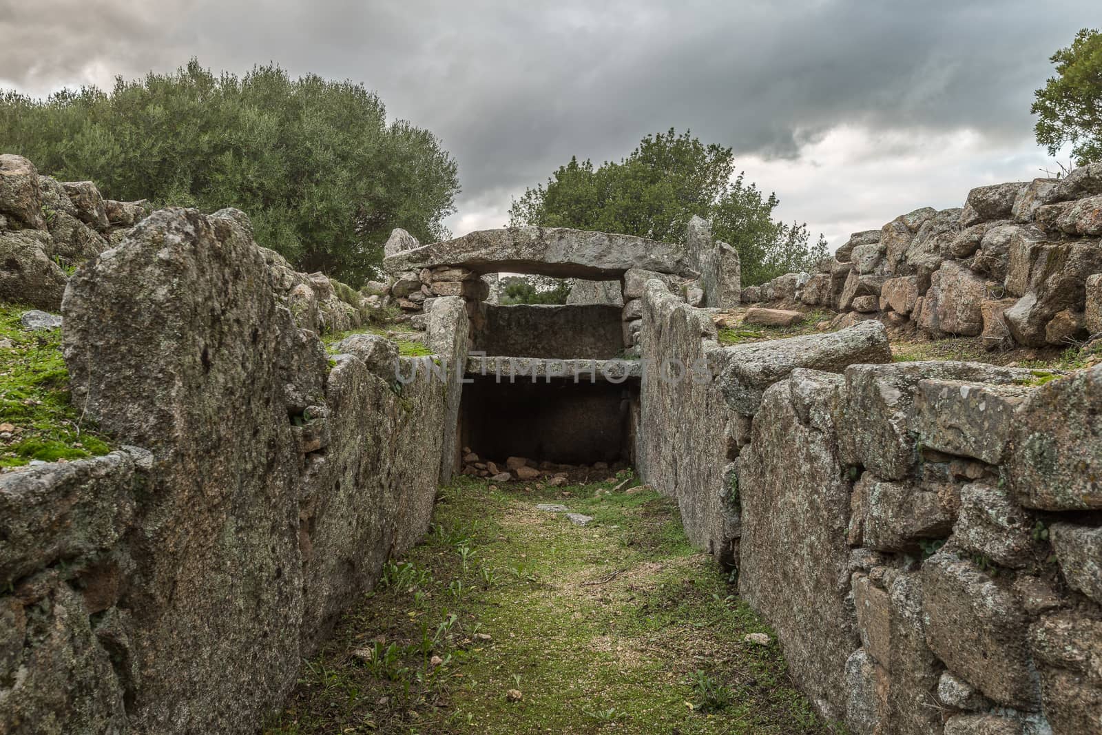 Giants grave of Li Lolghi - Arzachena