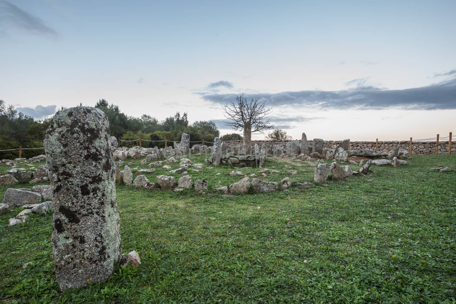 Necropolis of Li Muri