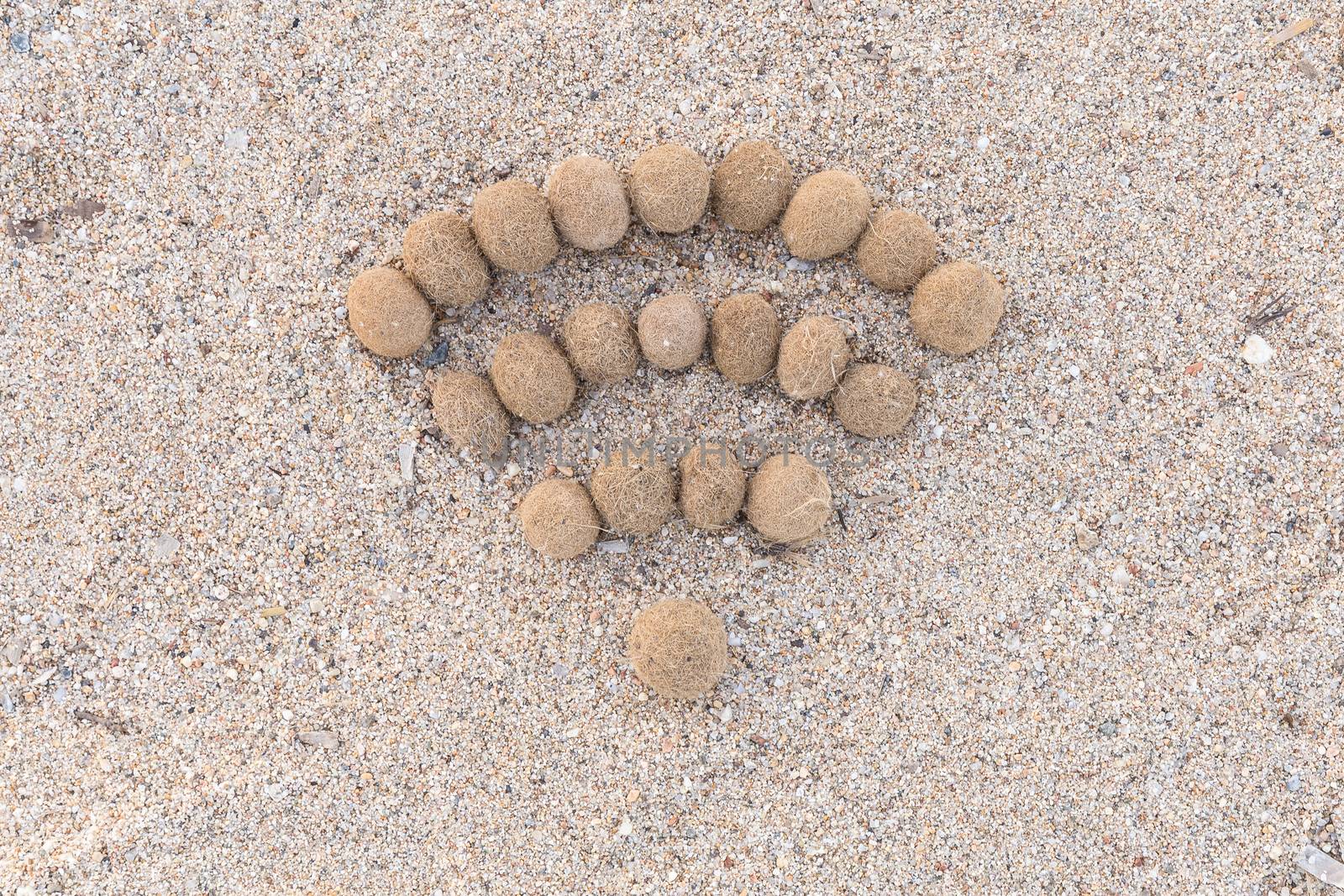 Wifi sign created with dried algae ball on sand beach