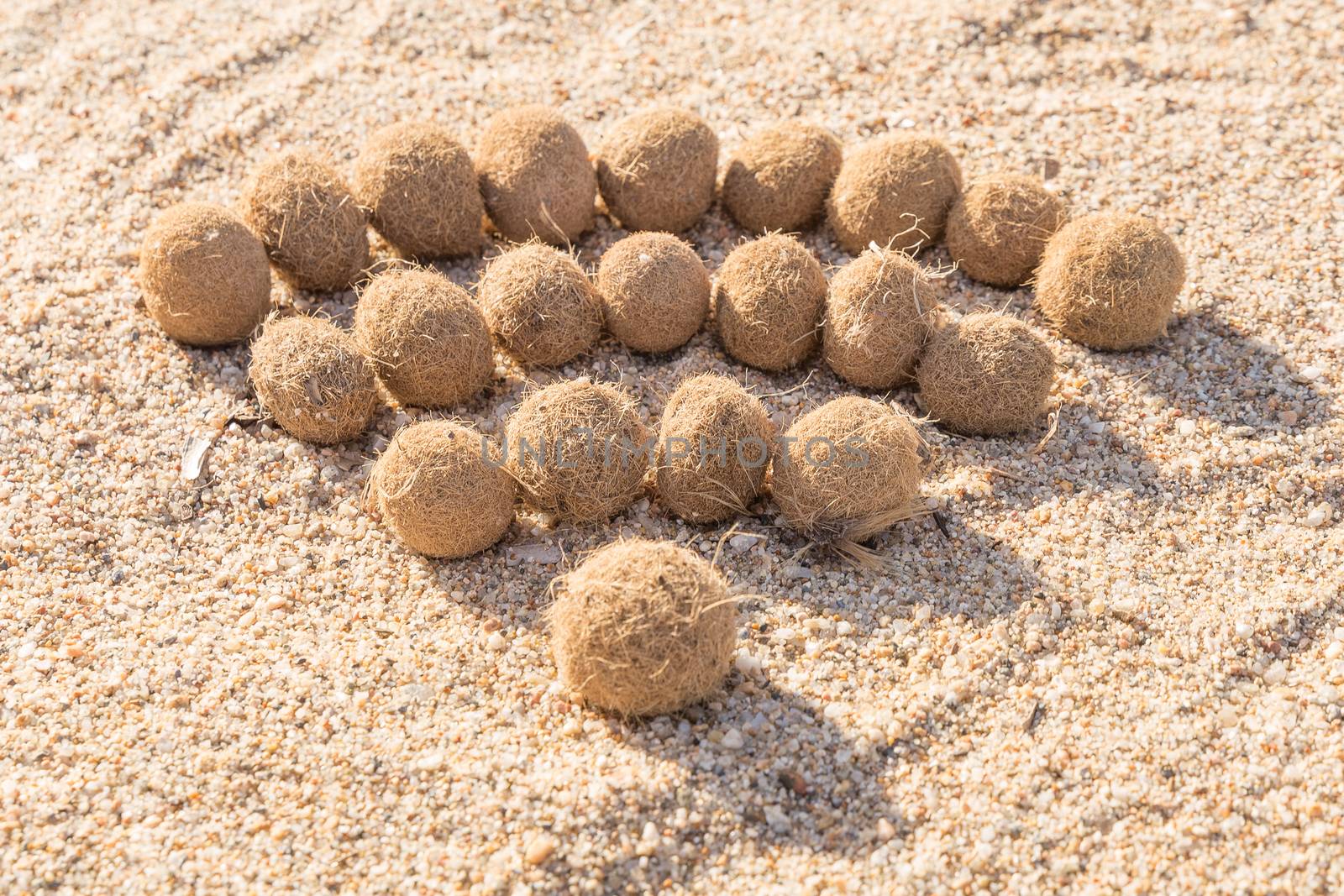 Wifi sign created with dried algae ball on sand beach