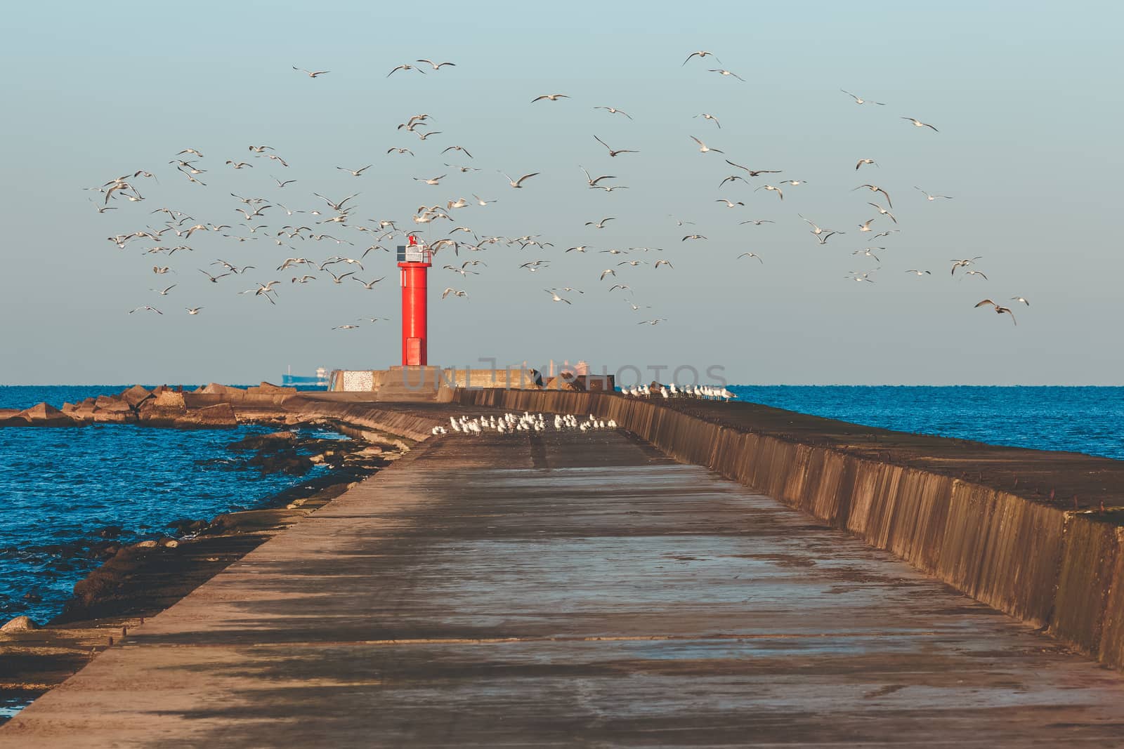 White seagulls flying against the red lighthouse