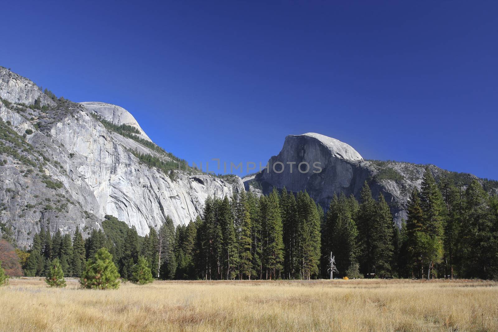 Half Dome - Yosemite National Park by mmarfell